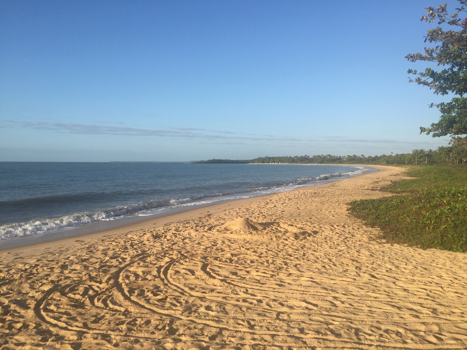 CALOR E SAÚDE